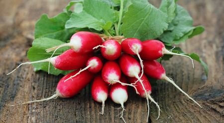 Fresh radishes on wooden background. Toned photo. Selective focus.の写真素材