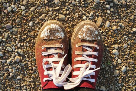 A pair of red dirty sneakers on soil .の写真素材