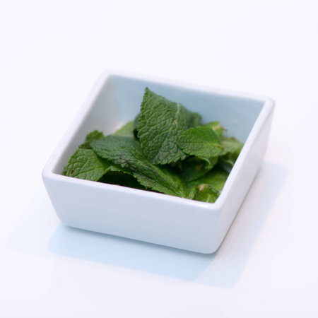 Mint leaves in square shaped white bowl on white tableの写真素材