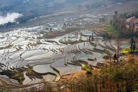 in Yuanyang district, Yunnan province, Chinaの写真素材