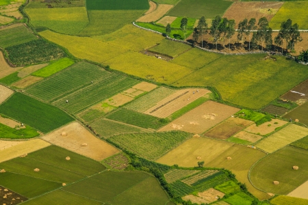 Here is the valley in North of Vietnam  Most people here is ethnic minority , living by planting...
