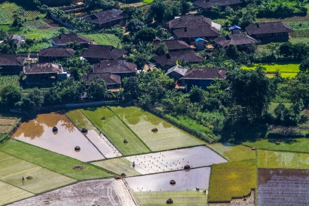 Here is the valley in North of Vietnam  Most people here is ethnic minority , living by planting rice の写真素材