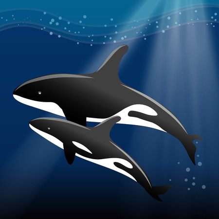Whale and her calf swimming in the ocean vector illustrationのイラスト素材