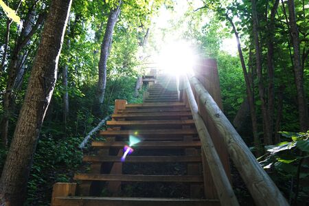 Stairs leading up to the sun. Sunlight in the green forest.