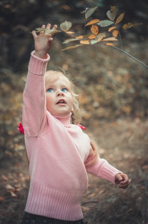 little girl reaches for a tree branchの写真素材