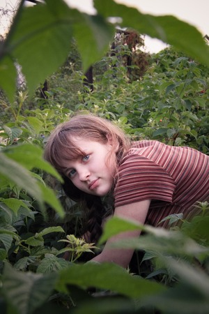 girl picking raspberriesの写真素材