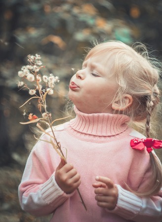 Little blonde girl blowing dandelionの写真素材