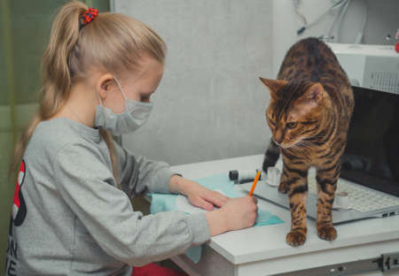 girl and her cat learning to sew a dress on a laptop at home DIY watching instructional videos on a laptopの写真素材