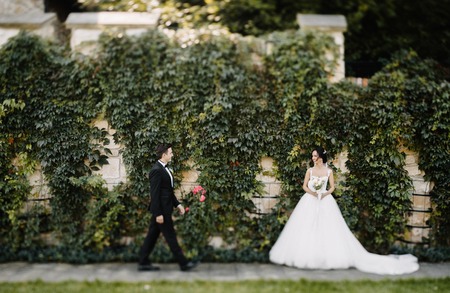 Beautiful happy young bride kissing handsome groom in sunlit par