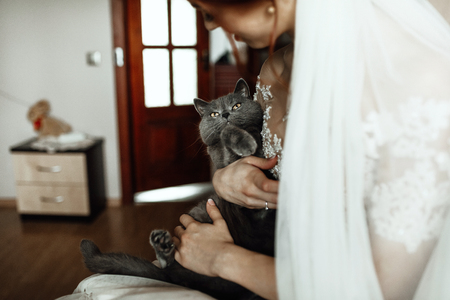 Radiant bride smiles while holding little kitten in her armsの写真素材