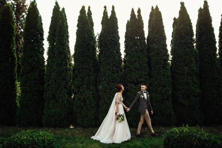 Pretty wedding couple poses in a green spring gardenの写真素材