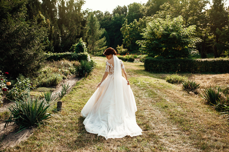 The beautiful bride in a white poses in the parkの写真素材