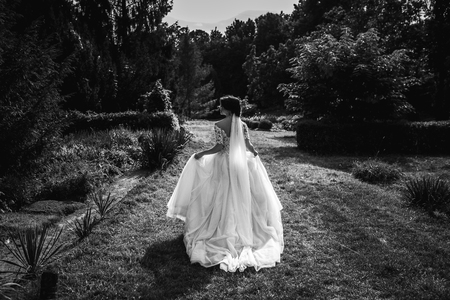 bride in a dress standing and walking in a green gardenの写真素材