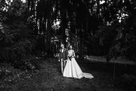 Beautiful young couple walking in the autumn park smiling brightの写真素材