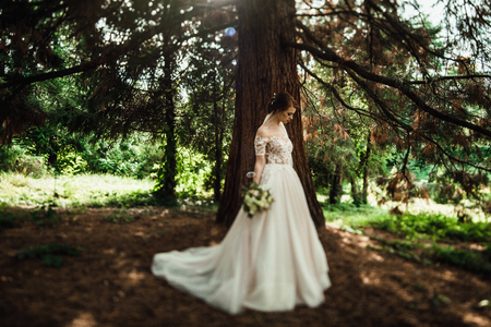 Stunning bride in elegant dress poses in the green parkの写真素材
