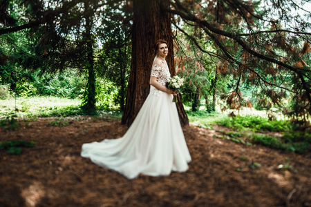 Stunning bride in elegant dress poses in the green parkの写真素材