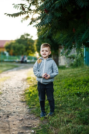 Little young caucasian boy in nature, childhoodの写真素材