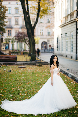 Beautiful bride in elegant white dress  posingの写真素材