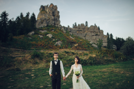 Young just married couple posing under pine tree. Marvelous mounの写真素材