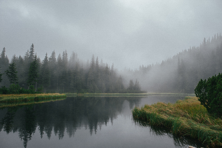 Mountain lake and woods around in foggy dayの写真素材