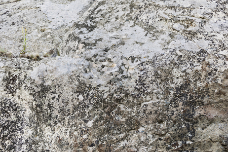 stone texture or backgroundの写真素材