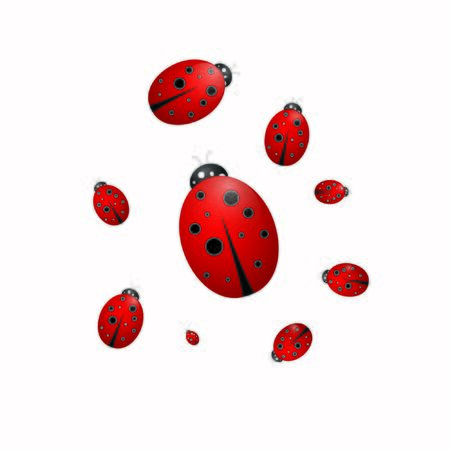 Ladybugs on a white background, vector illustrationのイラスト素材