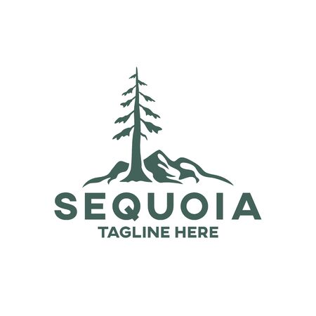 Modern tree sequoia logo. Vector illustration.のイラスト素材