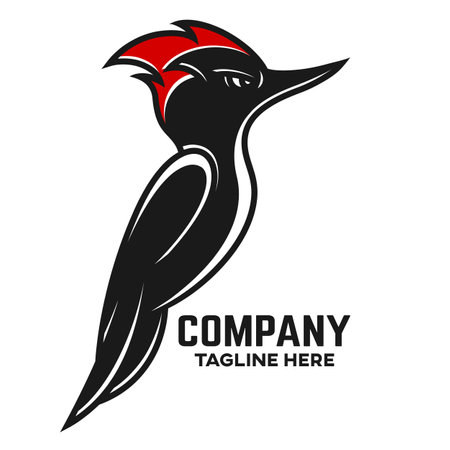Creative and modern bird woodpecker logoのイラスト素材