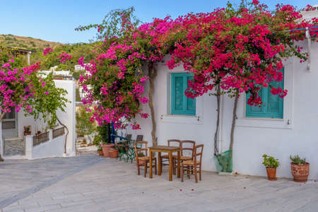 Picturesque alley in lefkes Paros greek island with a full blooming bougainvillea and  the cristian church of Agia Triada as background in the traditional village  lefkes Paros island, Greeceの写真素材