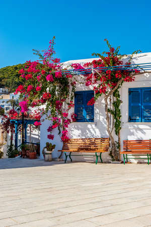 Traditional Cycladitic alley with whitewashed houses and a blooming bougainvillea flowers in lefkes...