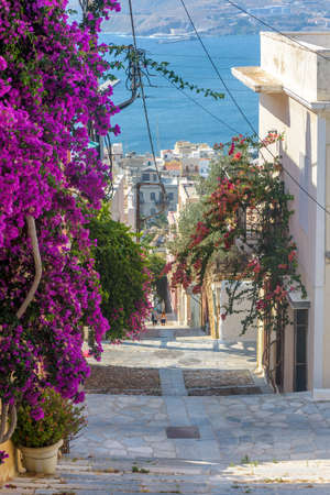 Street view of  traditional houses and a colorful bougainvillea tree in Ermoupolis, Syros island,...