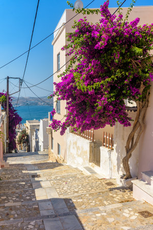 Street view of  traditional houses and a colorful bougainvillea tree in Ermoupolis, Syros island, Greeceの写真素材