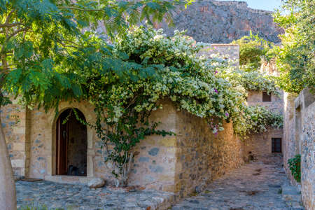 Traditional architecture with  narrow  stone street and a colorfull bougainvillea in  the medieval  castle of Monemvasia, Lakonia, Peloponnese, Greece.のeditorial素材