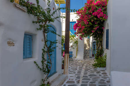 Traditional Cycladitic alley with a narrow street, whitewashed houses and a blooming bougainvillea in Parikia, Paros island, Greece.の写真素材