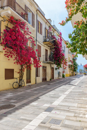 Scenic view of cobbled street, facades of shops and a full blooming bougainvillea in the  old town...