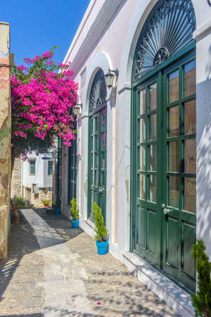 Traditional cycladitic   alley with narrow street, whitewashed  houses and a blooming bougainvillea, in ano Syros Greeceの写真素材