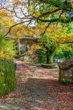 The picturesque moni Rogovouduring fall season the stone build church is  located  near tsepelovo...