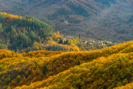 Street view of the forest near kapesovo, with fall colors and kipoi village as background  in...