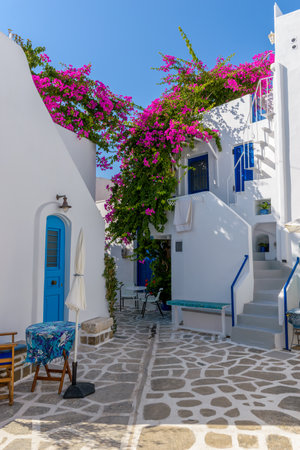 Traditional Cycladitic alley with a narrow street, whitewashed houses and a blooming bougainvillea in Parikia, Paros island, Greece.の写真素材
