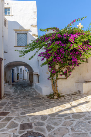 Traditional Cycladitic alley with a narrow street, whitewashed houses and a blooming bougainvillea in Parikia, Paros island, Greece.の写真素材