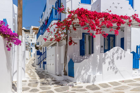 Traditional Cycladitic alley with a narrow street with a full blooming bougainvillea in Mykonos island, cyclades, Greeceの写真素材