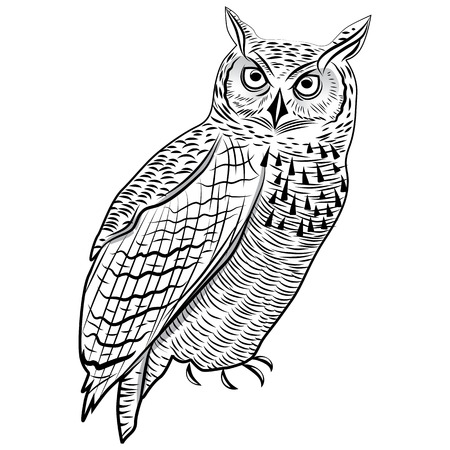 Owl bird as halloween symbol for mascot or emblem design vector illustration for t-shirt. Sketch tattoo design.のイラスト素材