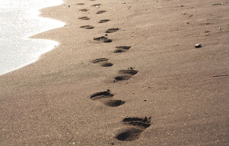Footprints in wet sand of beach in sunny day