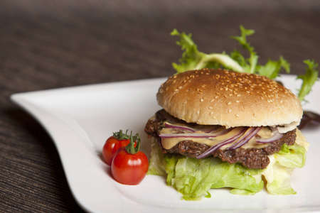 hamburger の写真素材