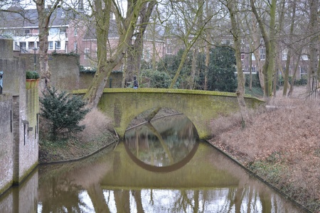 Spring in hollandの素材