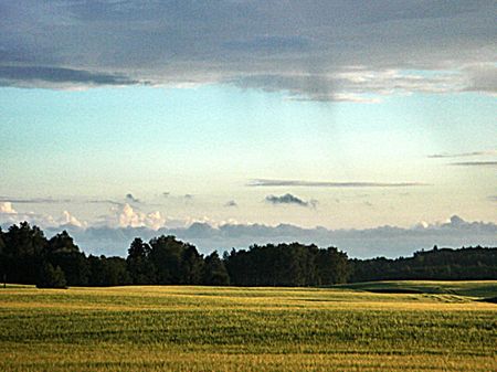 Fields in eveningの写真素材