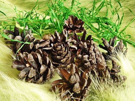 Christmas decorationの写真素材