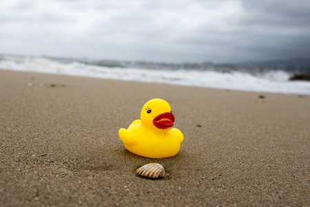 Yellow duckの写真素材