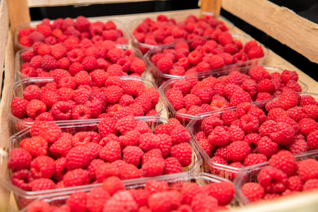 Raspberryの写真素材