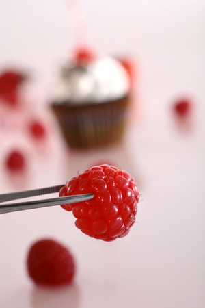 Rasberry dessertの写真素材